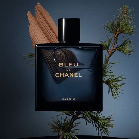 chanel bleu de chanel pour homme edt 100ml|best price Chanel bleu.